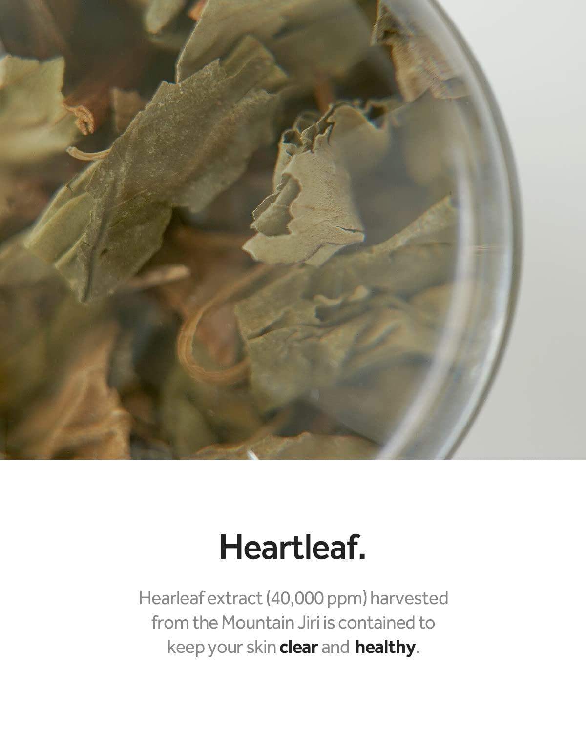 Heartleaf Spot Pad Calming Touch - Hakolii